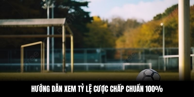 Hướng dẫn xem tỷ lệ cược chấp chuẩn 100%