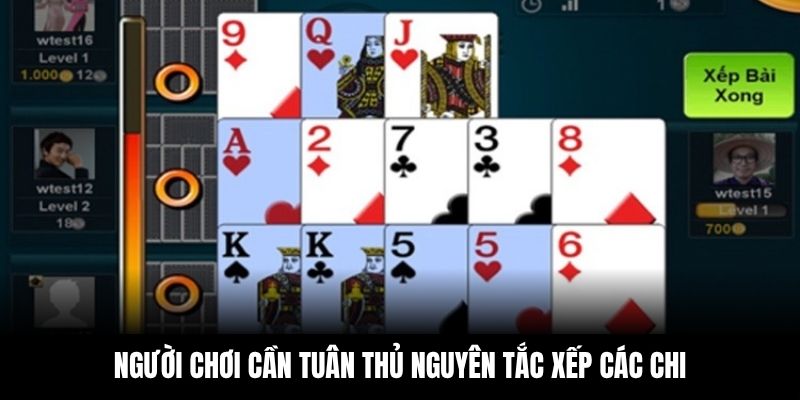 Người chơi cần tuân thủ nguyên tắc xếp các chi